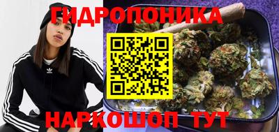 мяу мяу мука Кудрово