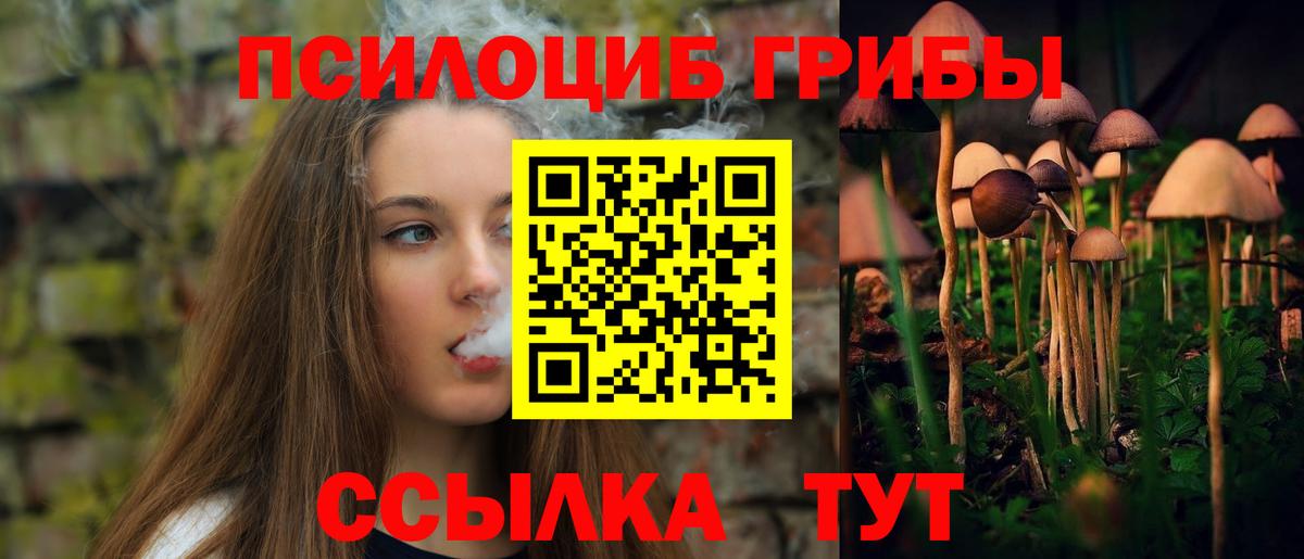 Галлюциногенные грибы Psilocybe  Вход с VPN  Вольск 